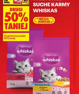 Biedronka Whiskas suche karmy oferta