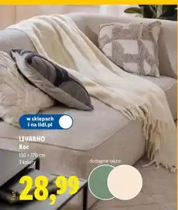 Lidl Koc oferta