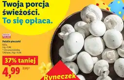 Lidl Pieczarki oferta