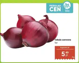 Dino Cebula czerwona luz oferta