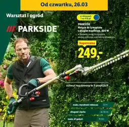 Lidl Nożyce do żywopłotu z długim trzonkiem, 800 W oferta