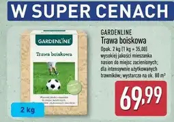 ALDI Trawa boiskowa oferta