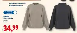 Lidl Bluza damska oferta
