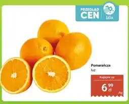 Dino Pomarańcza luz oferta
