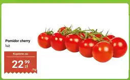 Dino Pomidor cherry luz oferta