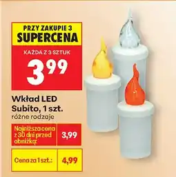 Biedronka Wkład LED różne rodzaje oferta
