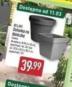 ALDI BELAVI Osłonka na doniczkę oferta