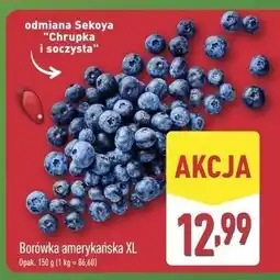 ALDI Borówka amerykańska oferta