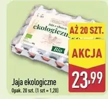 ALDI Jaja ekologiczne oferta