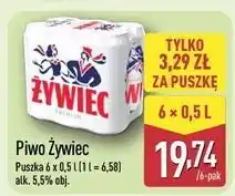 ALDI Piwo Żywiec Jasne Pełne oferta