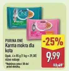 ALDI Karma dla kota junior z kurczakiem i marchewką Purina One oferta