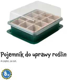 Tedi Pojemnik do uprawy roślin oferta
