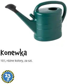 Tedi Konewka oferta