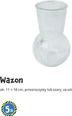 Tedi Wazon oferta
