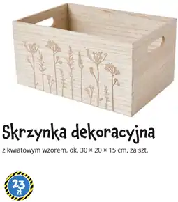 Tedi Skrzynka dekoracyjna oferta