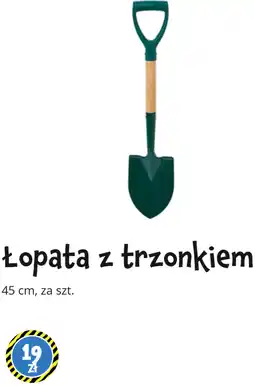 Tedi Łopata z trzonkiem oferta