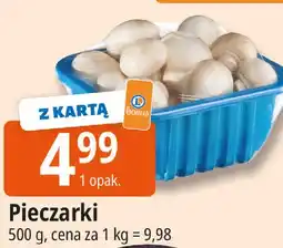 E.Leclerc Pieczarki oferta