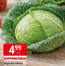 E.Leclerc Kapusta młoda oferta