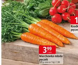 E.Leclerc Marchewka młoda pęczek oferta