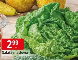 E.Leclerc Sałata masłowa oferta