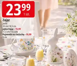 E.Leclerc Zając Jumi oferta