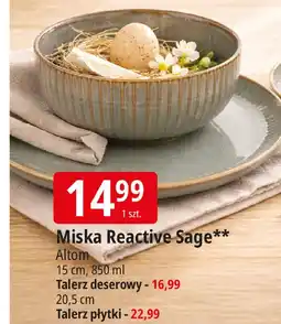 E.Leclerc Miska Reactive Sage oferta