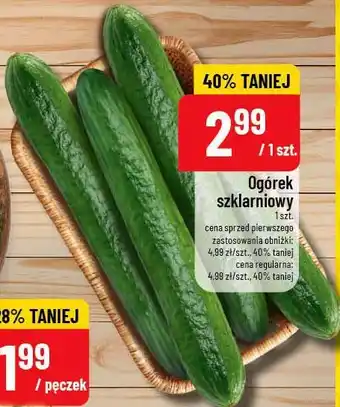 Polomarket Ogórek szklarniowy oferta