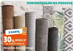 E.Leclerc Wszystkie dywany Omega oferta
