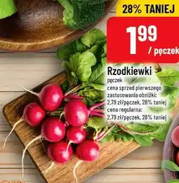 Polomarket Rzodkiewki oferta