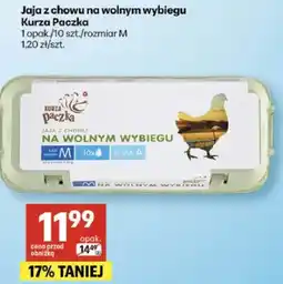 Delikatesy Centrum Jaja z chowu na wolnym wybiegu oferta