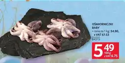 Selgros Ośmiorniczki baby oferta