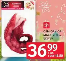 Selgros Ośmiornica macki oferta