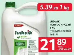 Selgros Płyn do naczyń Ludwik oferta