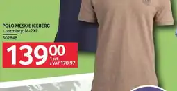 Selgros Polo męskie Iceberg rozmiary M-2XL oferta