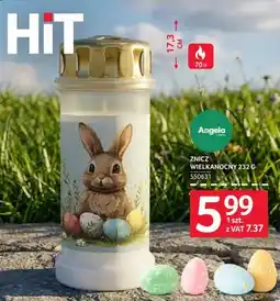 Selgros Znicz wielkanocny oferta