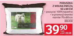 Selgros Poduszka z wełną owczą 50 x 60 cm oferta