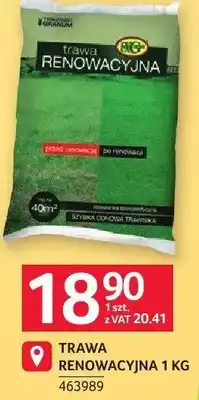 Selgros Trawa renowacyjna oferta