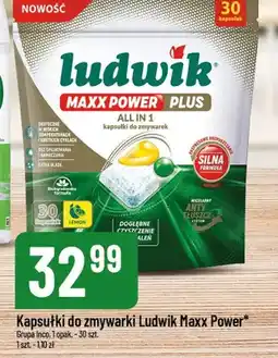 Polomarket Kapsułki do zmywarki Ludwik Maxx Power oferta
