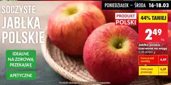 Biedronka Jabłka polskie czerwone oferta