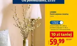 Lidl Pościel satynowa z bawełny 140×200cm oferta