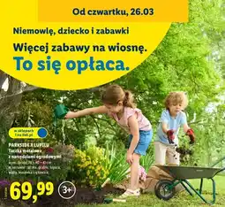 Lidl Taczka metalowa z narzędziami ogrodowymi dla dzieci oferta