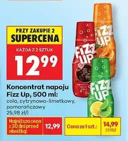 Biedronka Koncentrat napoju Fizz Up, 500 ml oferta