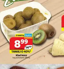 Delfin Kiwi kosz oferta
