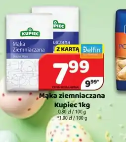 Delfin Mąka ziemniaczana Kupiec oferta