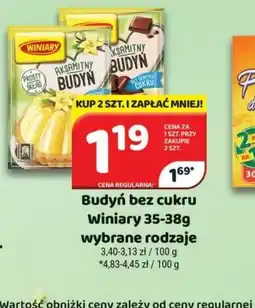 Delfin Budyń Winiary oferta