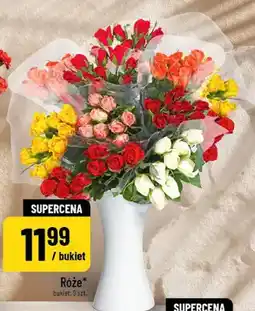 Polomarket Róże oferta