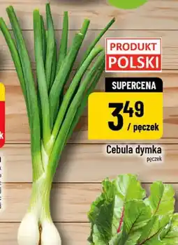 Polomarket Cebula dymka oferta
