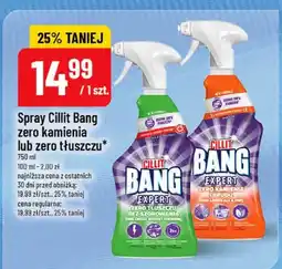 Polomarket Spray zero kamienia lub zero tłuszczu oferta