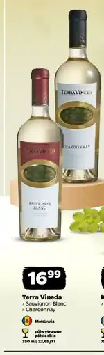 Netto Wino chardonnay Terra Vineda oferta