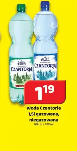 Delfin Woda Czantoria oferta
